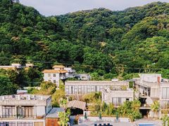 -广州白江湖森林公园