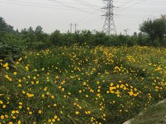 -桤木河湿地公园