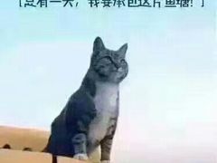 -上岛咖啡(华源四里店)