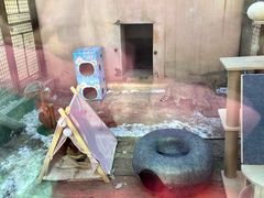 -青藏高原野生动物园
