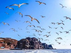 -海驴岛(荣成市)