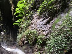 -武隆天坑地缝国家地质公园