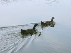 -前关湿地公园