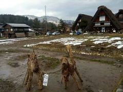 -白川乡与五箇山的合掌构造村落