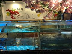 水产区-特色酱椒鱼私房菜(黄鹤楼店)