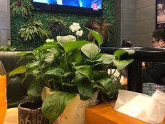 大堂-愉肴麻辣香锅(中山路店)