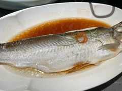 -晓淮山·扬州早茶·淮扬菜(龙阳广场店)