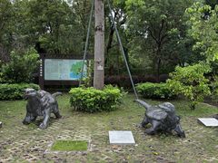 -广东惠东海龟国家级自然保护区