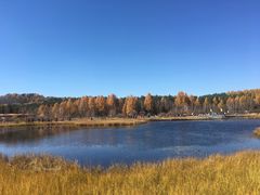 -塞罕坝国家级自然保护区