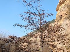 -崂山巨峰游览区