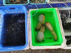 -霞涌市场海鲜摆卖区