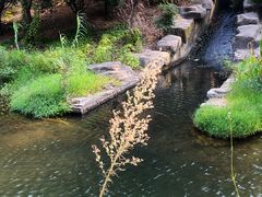 -桃花岭景区