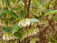 -彩色沙林风景区