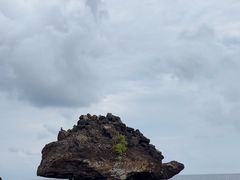 -涉地可支