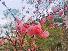 -山东师范大学(千佛山校区)