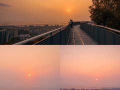 -宝安西湾红树林湿地公园