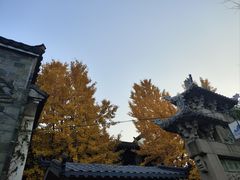 -二泉园老菜馆·百年无锡菜