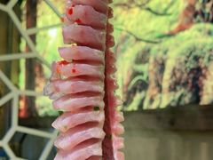 -土著渔匠·养生蝴蝶鱼(香樟路店)