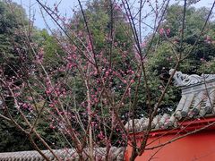 -成都南湖公园