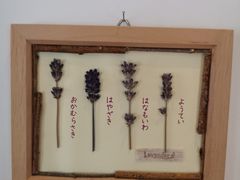 -富田农场