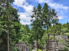 -梭布垭石林景区