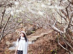 -广州市流溪河国家森林公园