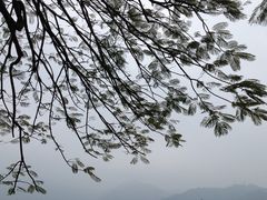 -日月潭