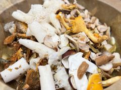 -双喜农庄·菌香园(安居家园店)