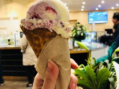 冰淇淋-Patagonia Chocolates(皇后镇店)