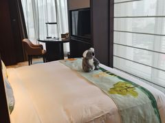 -广州德安丽舍凯宾斯基酒店