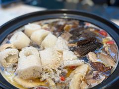 -蘑统田下·野生菌火锅