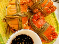 -蟹天蟹地农家菜·阳澄湖大闸蟹(浅水湾店)