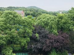 -上海佘山世茂艾美酒店