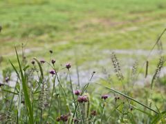 -汉长安城未央宫国家考古遗址公园