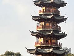 -龙华素斋(龙华路店)