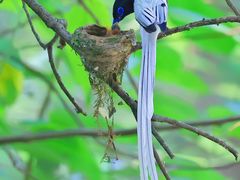 -桤木河湿地公园