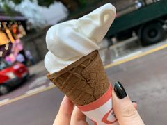 -富豪雪糕车流动点(尖沙咀店)