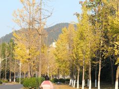 -浙江农林大学(东湖校区)
