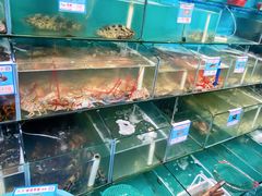 水产区-琼大师东方烤乳猪(亚特兰蒂斯店)