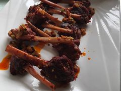 -金百万烤鸭店(马甸店)