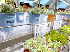 -鹿岛生活(熙地港店)