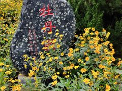 -近春园遗址