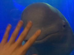 -大连圣亚海洋世界