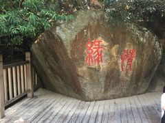 -洪崖丹井