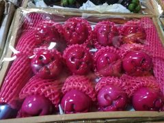 -上海龙吴水胜海发市场