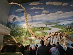 -自贡恐龙博物馆