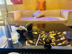-昆明洲际酒店