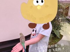 -淮扬府·游园京梦(成都 SKP 店)