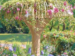 -上海滨江森林公园