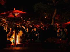 -遵化市禅林寺古银杏风景园